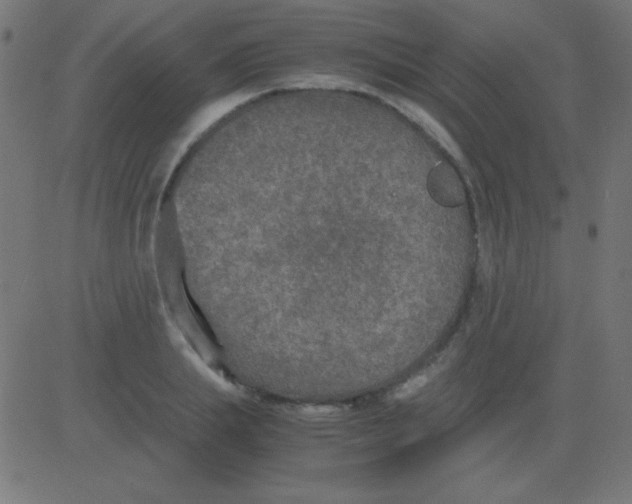 X0000081310839200702012332