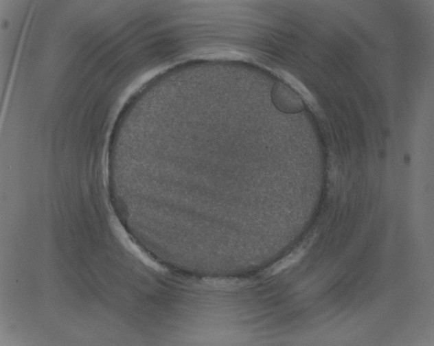 X0000081310840200702012332