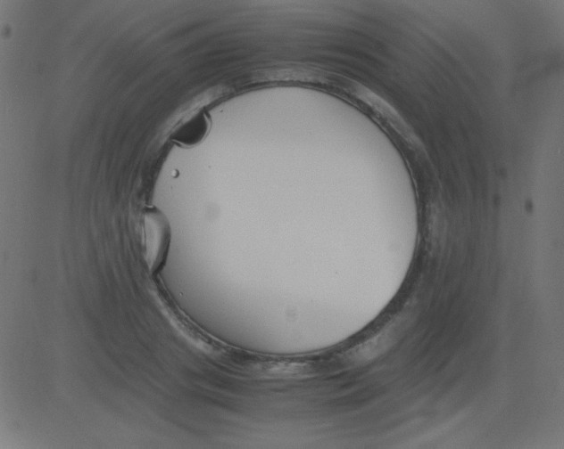 X0000081310841200702012332