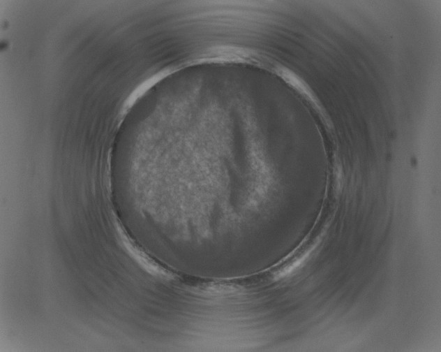 X0000081310842200702012332