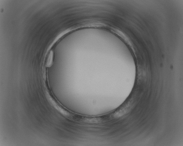 X0000081310843200702012332