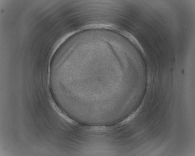 X0000081310844200702012332