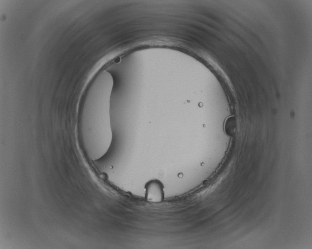 X0000081310845200702012332