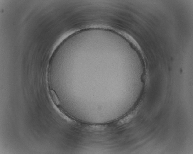 X0000081310847200702012332