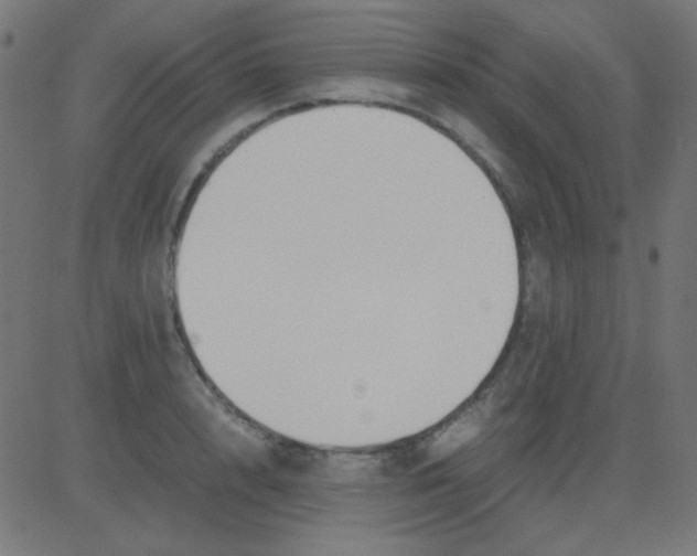 X0000081310848200702012332