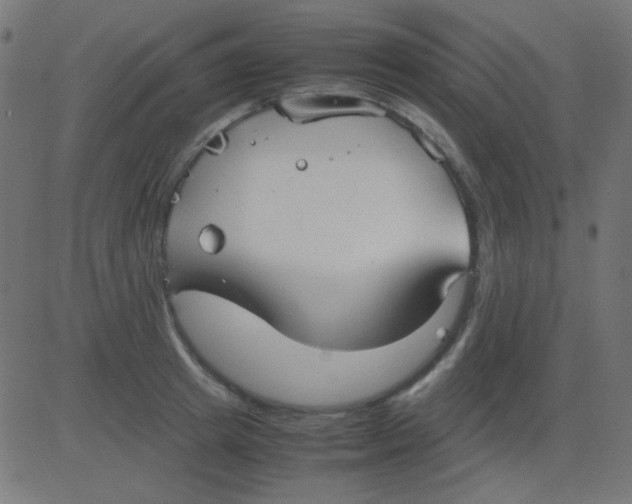 X0000081310849200702012332