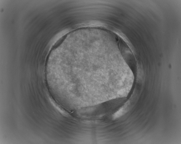 X0000081310850200702012332