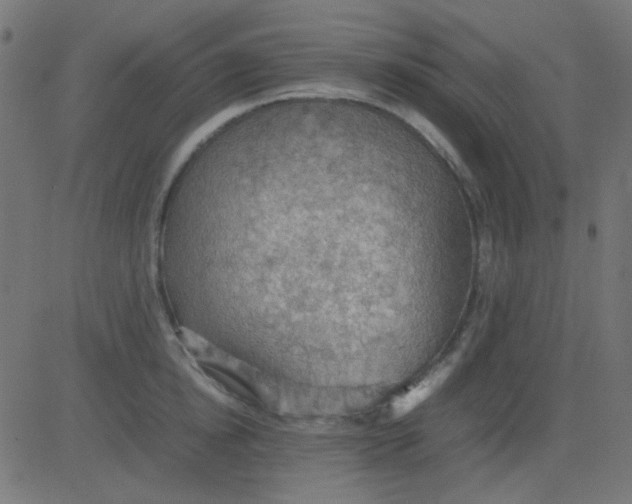 X0000081310854200702012332