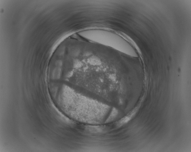 X0000081310855200702012332