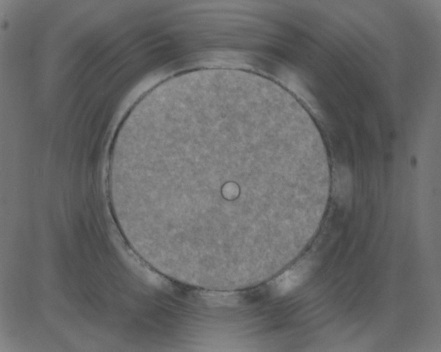 X0000081310856200702012332