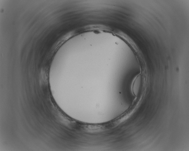 X0000081310857200702012332