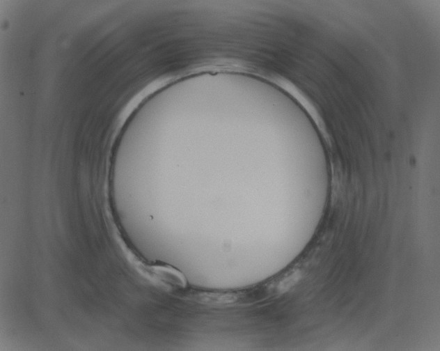 X0000081310861200702012332