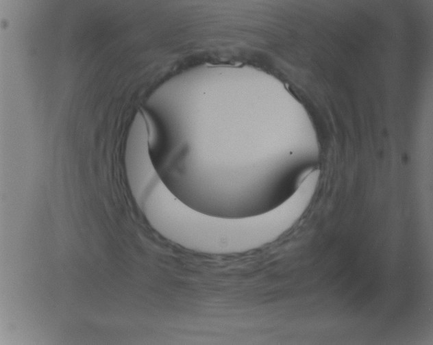 X0000081310865200702012332