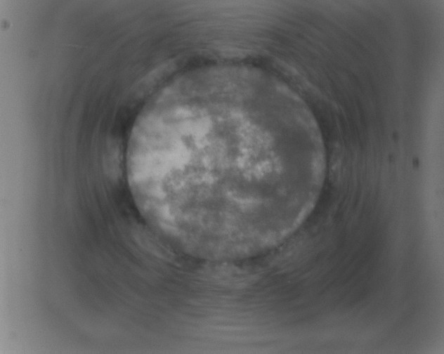 X0000081310866200702012332