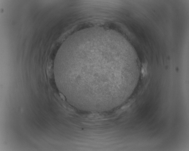 X0000081310867200702012332