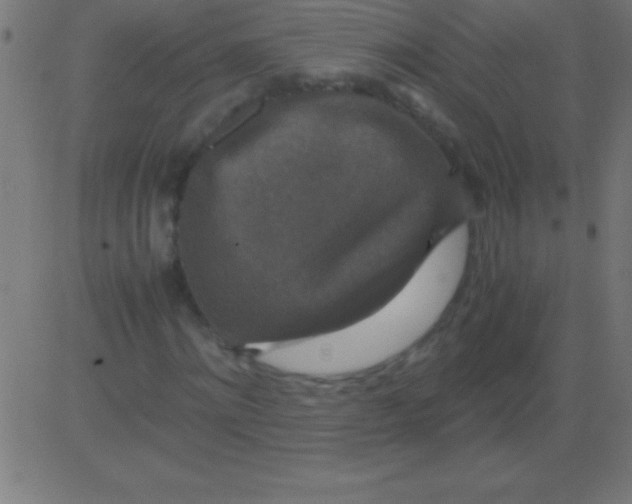 X0000081310868200702012332