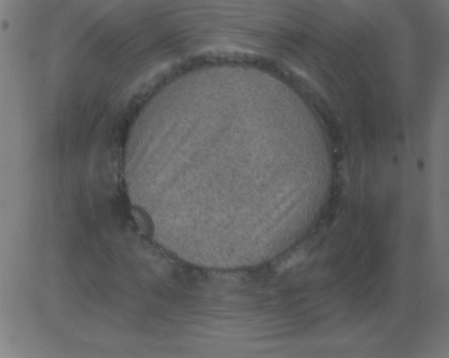 X0000081310870200702012332