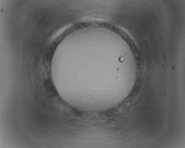 X0000081310871200702012332