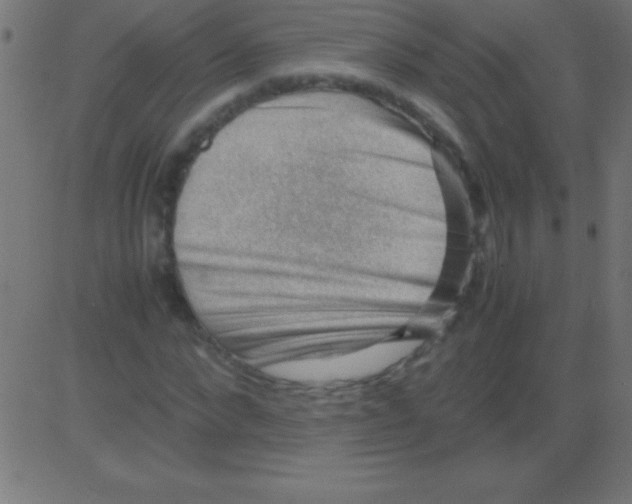 X0000081310872200702012332