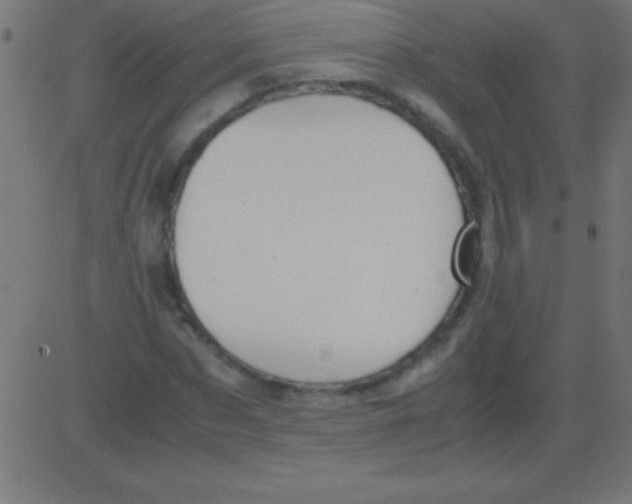 X0000081310873200702012332