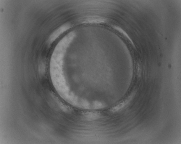 X0000081310874200702012332