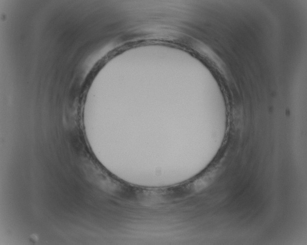 X0000081310875200702012332