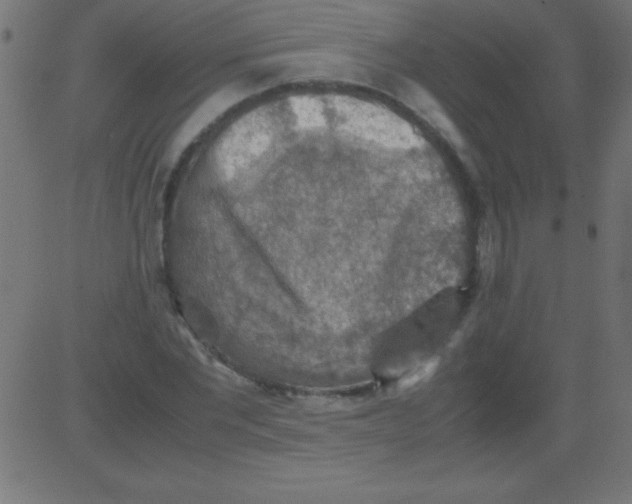 X0000081310877200702012332