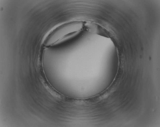 X0000081310880200702012332