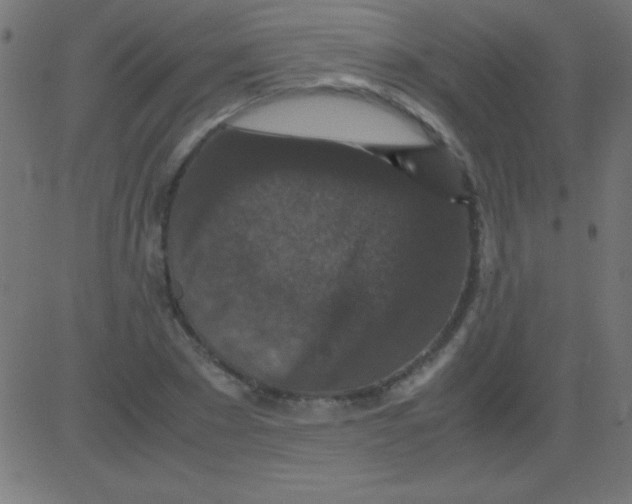 X0000081310881200702012331