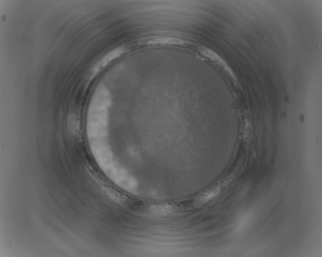 X0000081310882200702012331