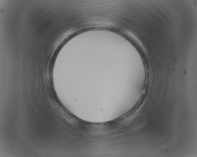 X0000081310883200702012331