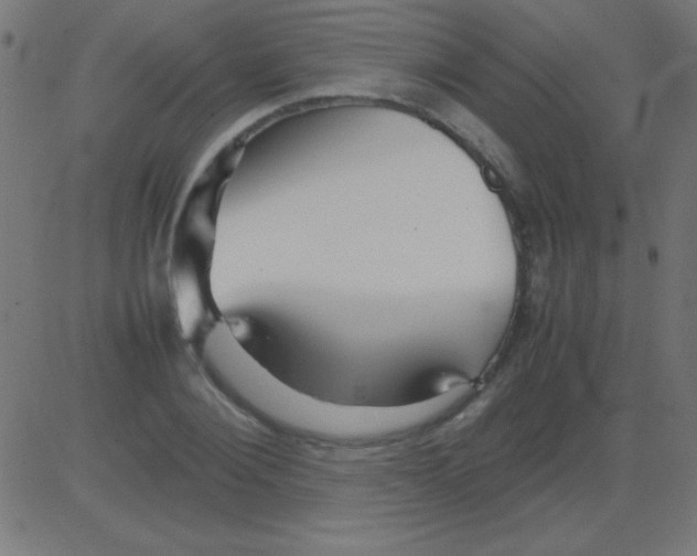 X0000081310884200702012331