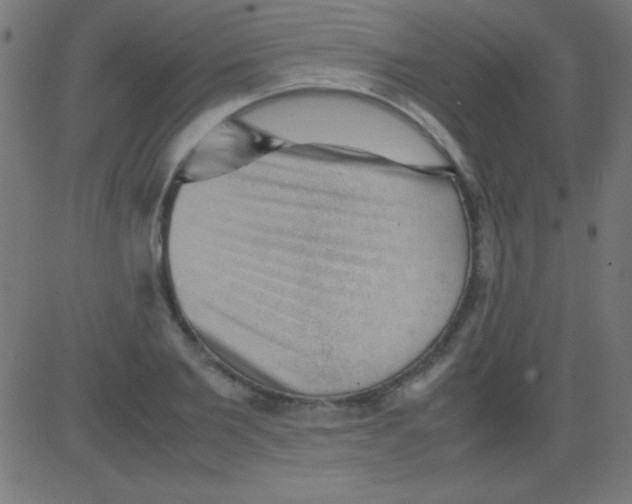 X0000081310885200702012331