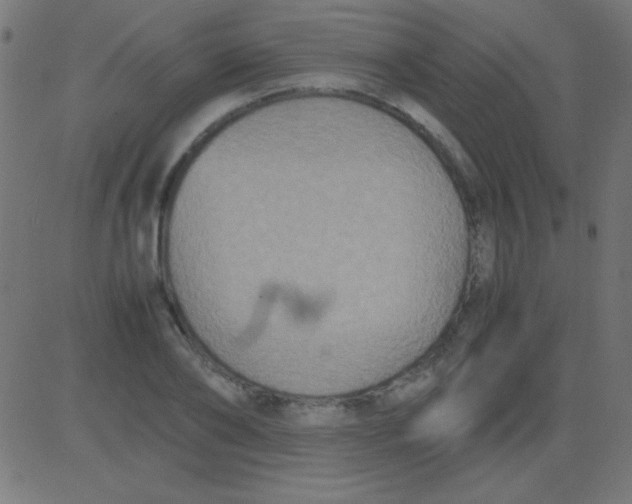 X0000081310886200702012331