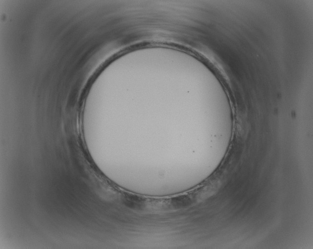 X0000081310887200702012331