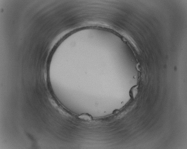 X0000081310888200702012331