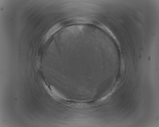 X0000081310889200702012331