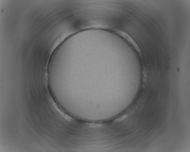 X0000081310890200702012331