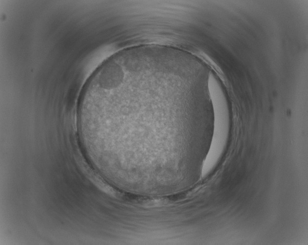 X0000081310891200702012331