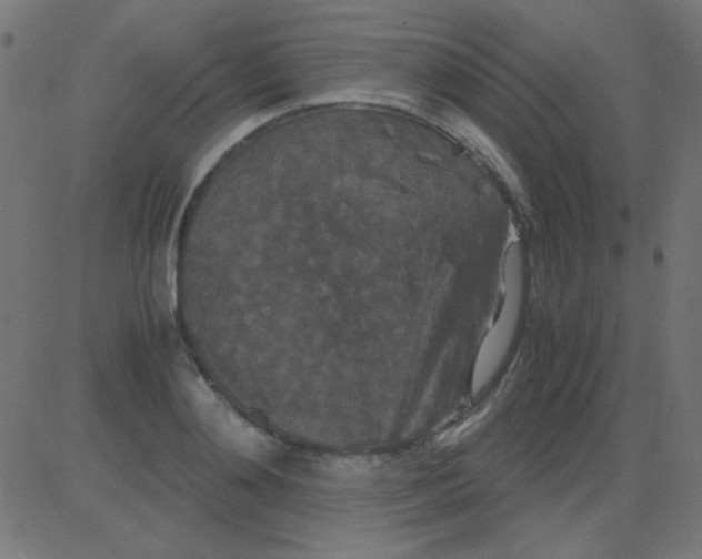 X0000081310892200702012331