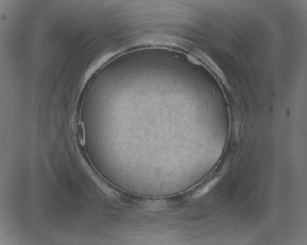 X0000081310893200702012331