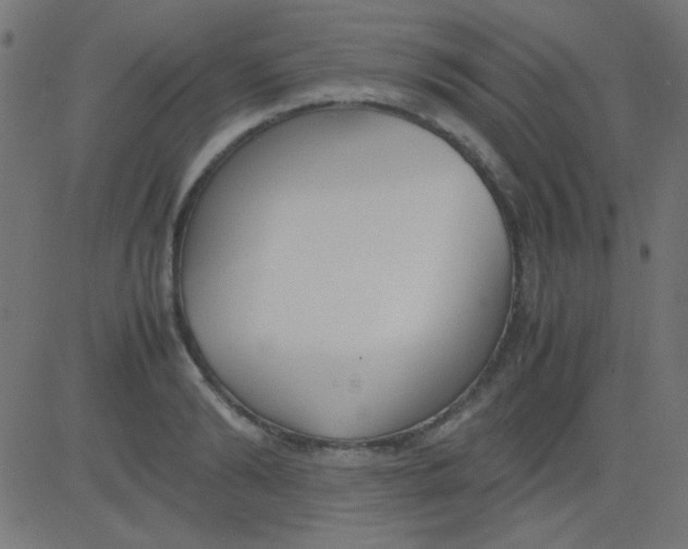 X0000081310894200702012331