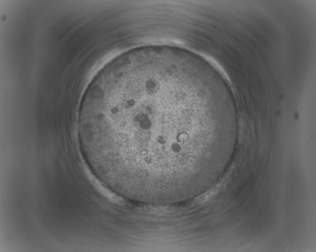 X0000081310895200702012331