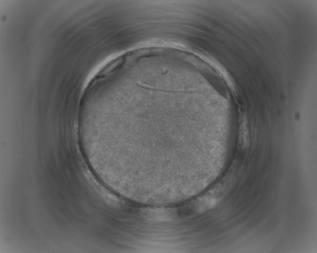 X0000081310896200702012331