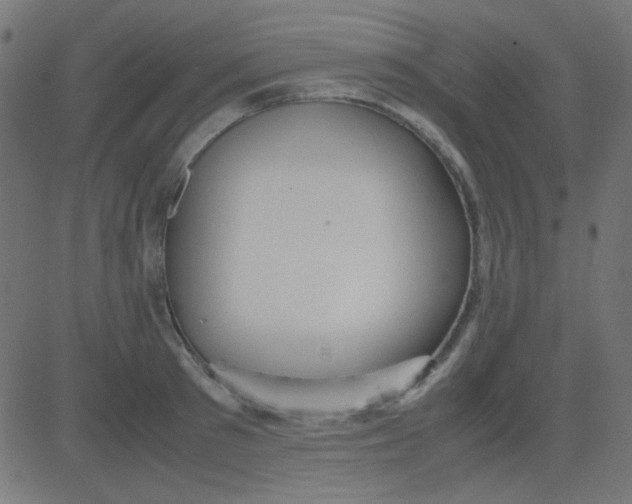 X0000081310897200702012331