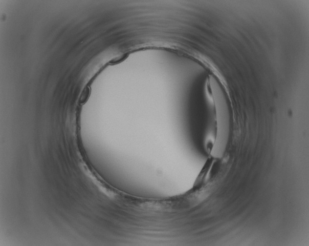 X0000081310898200702012331