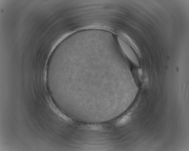 X0000081310900200702012331