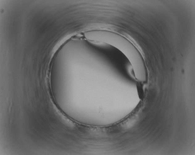 X0000081310901200702012331