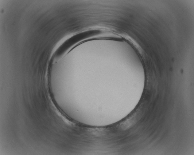 X0000081310902200702012331