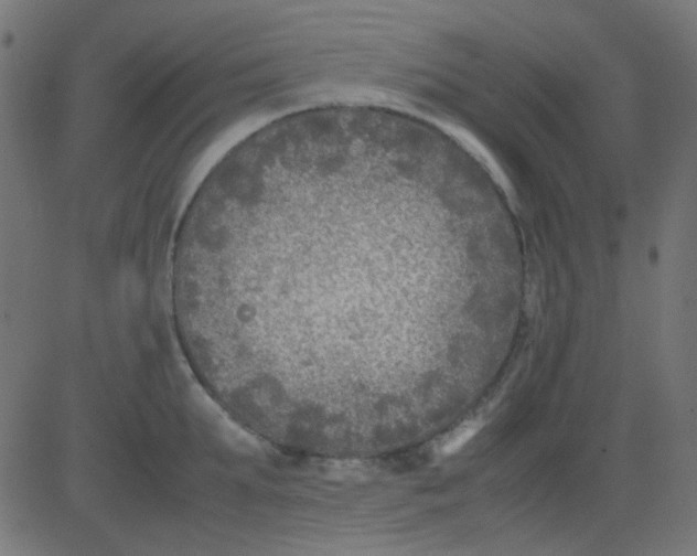 X0000081310903200702012331